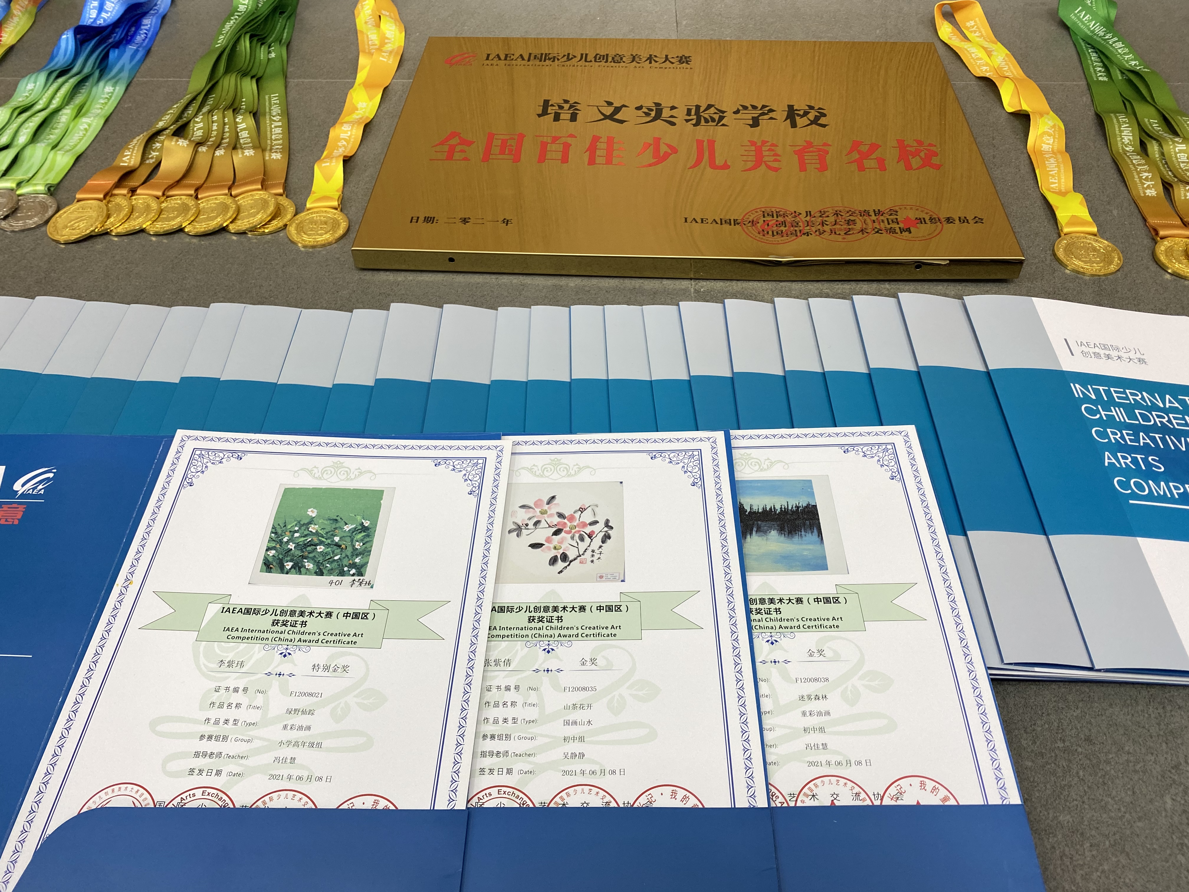 【喜報(bào)】熱烈祝賀培文學(xué)子在IAEA國(guó)際少兒創(chuàng)意美術(shù)大賽中榮獲佳績(jī)！