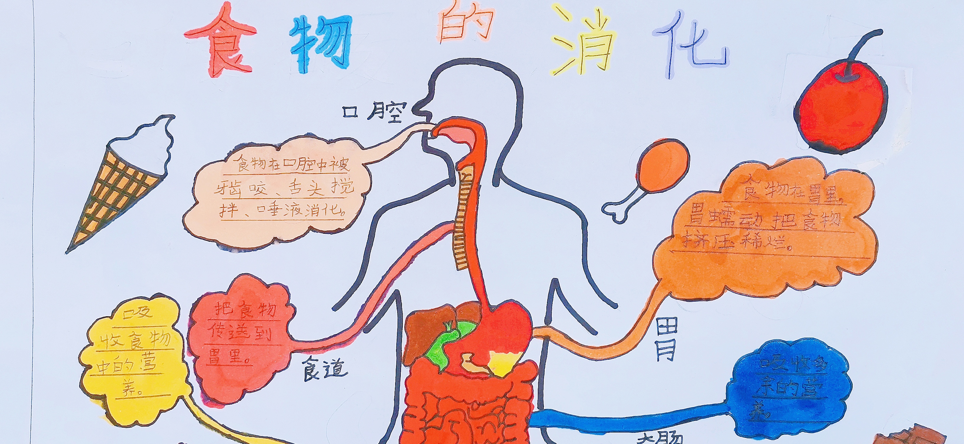 【培文杯】繽紛科學(xué) 魅力思維——十一月社科思維導(dǎo)圖展